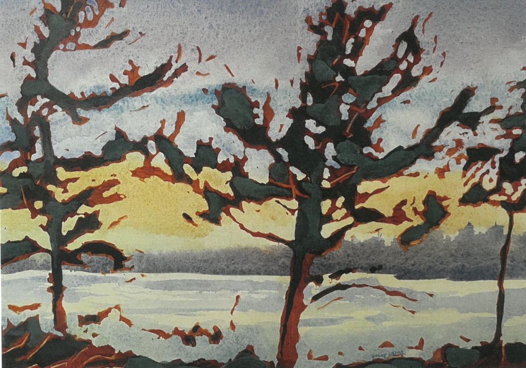 Wind Blown Pines