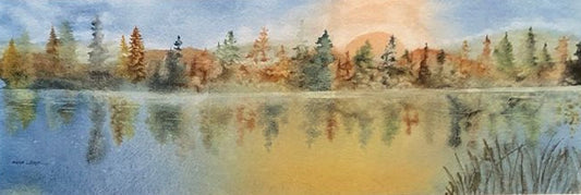 Pine Reflections