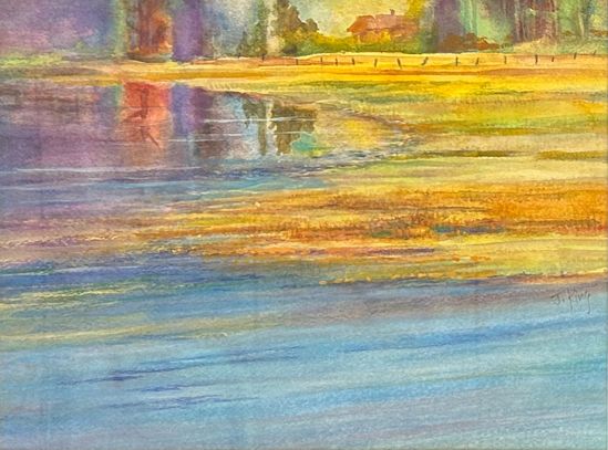Pond Reflections
