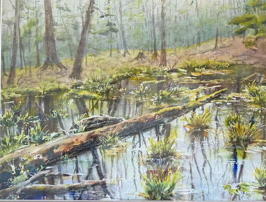 Woodland Wetlands