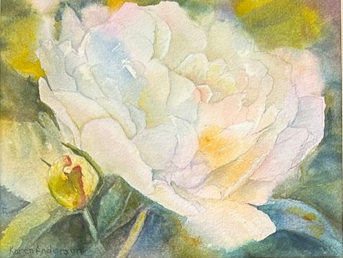 Peony