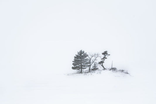Winter Island - Rainy Lake, MN
