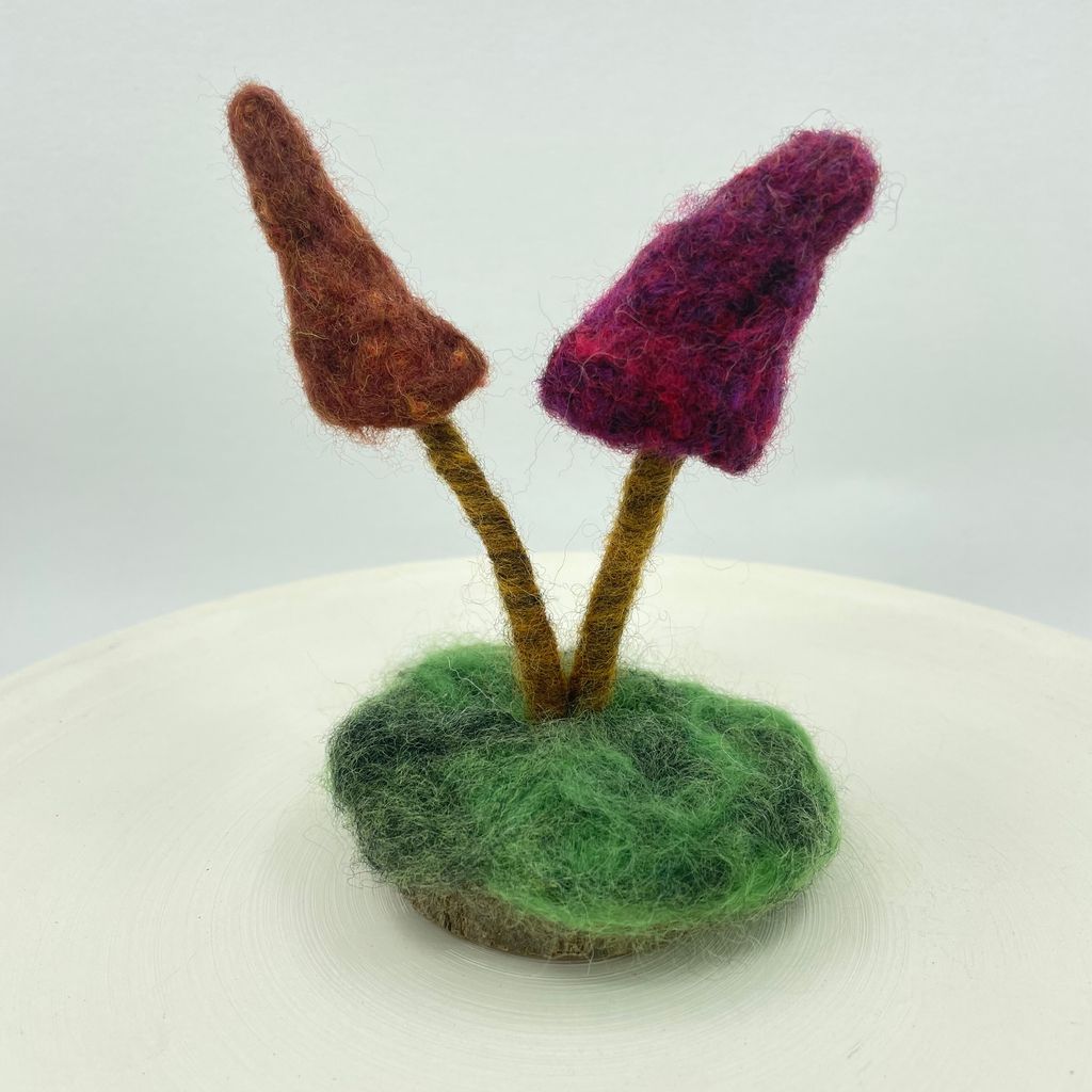 Pair of Mushrooms