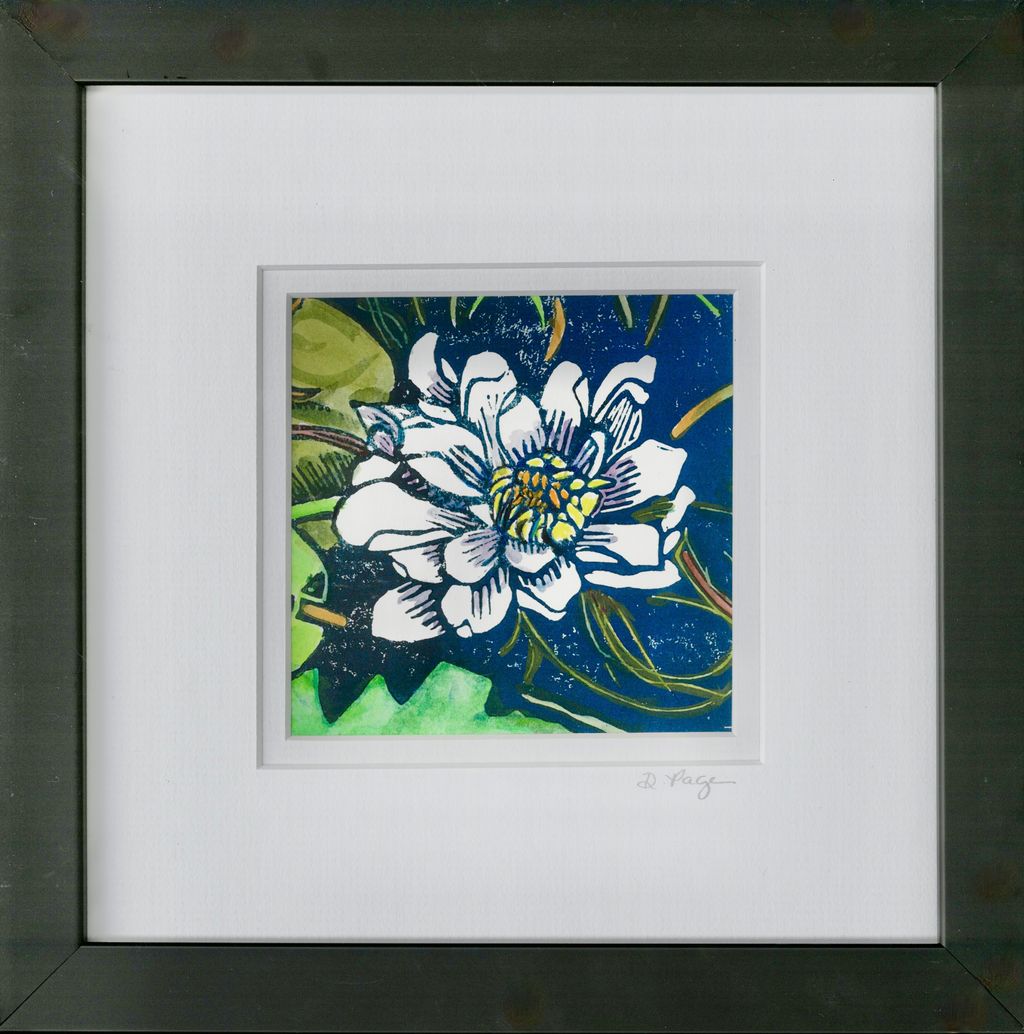 Water Lily Detail