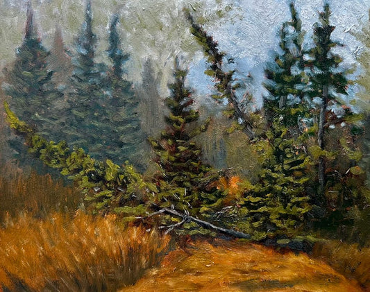 Evening After the Blowdown