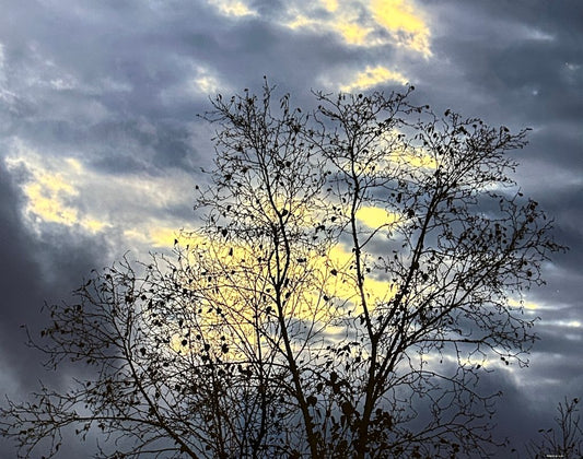 Cloudy with a Hint of Blue