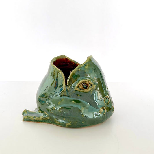Toad