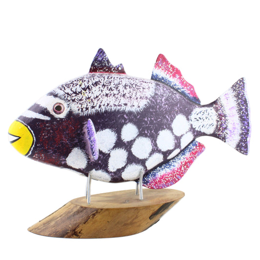 Triggerfish - 14"