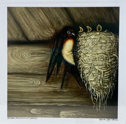 Barn Swallow with Nest Giclee