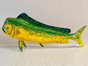 Mahi Mahi - 19"