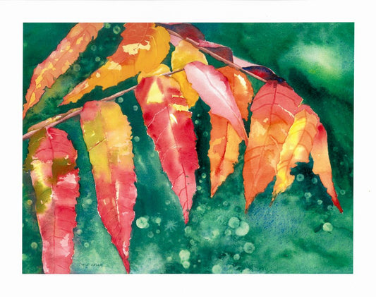 Sumac - 11 x 14 Print