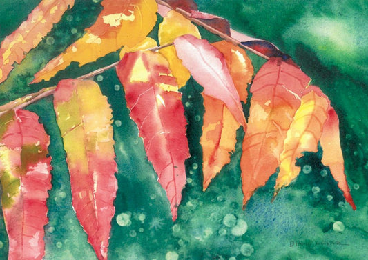 Sumac Card