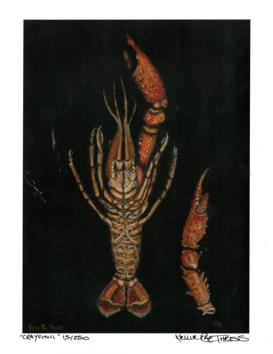 Single Crayfish Giclee