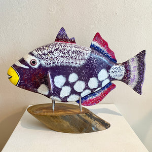 Triggerfish - 14"