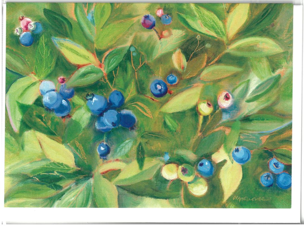 Blueberries (oil)