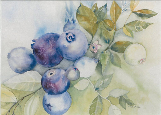 Blueberries (w/c) - 13 x 19 Print