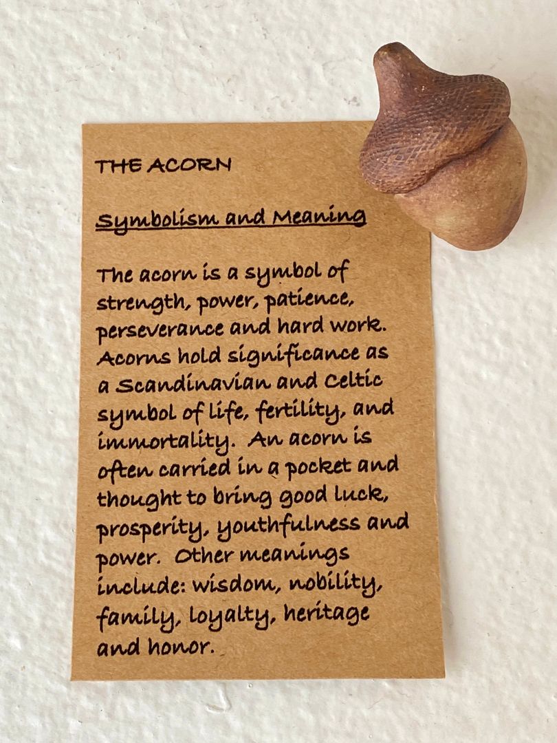 The Acorn Amulet