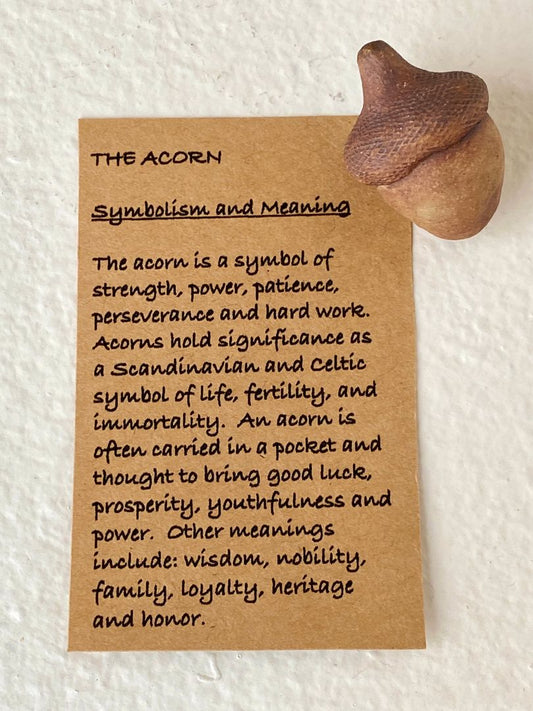 The Acorn Amulet